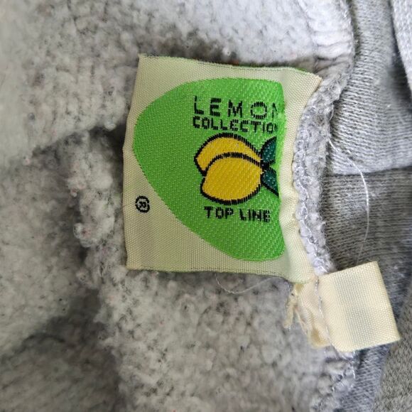 Lemon Collection Univerita Roma Italian Gray College Hoodie - Picture 7 of 9